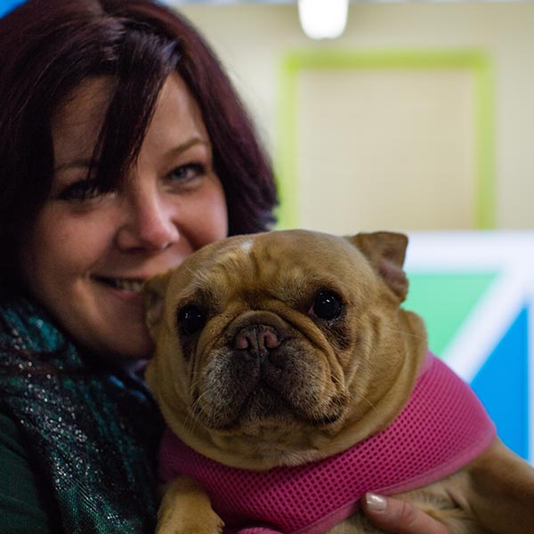 small brown dog being held by smiling lady