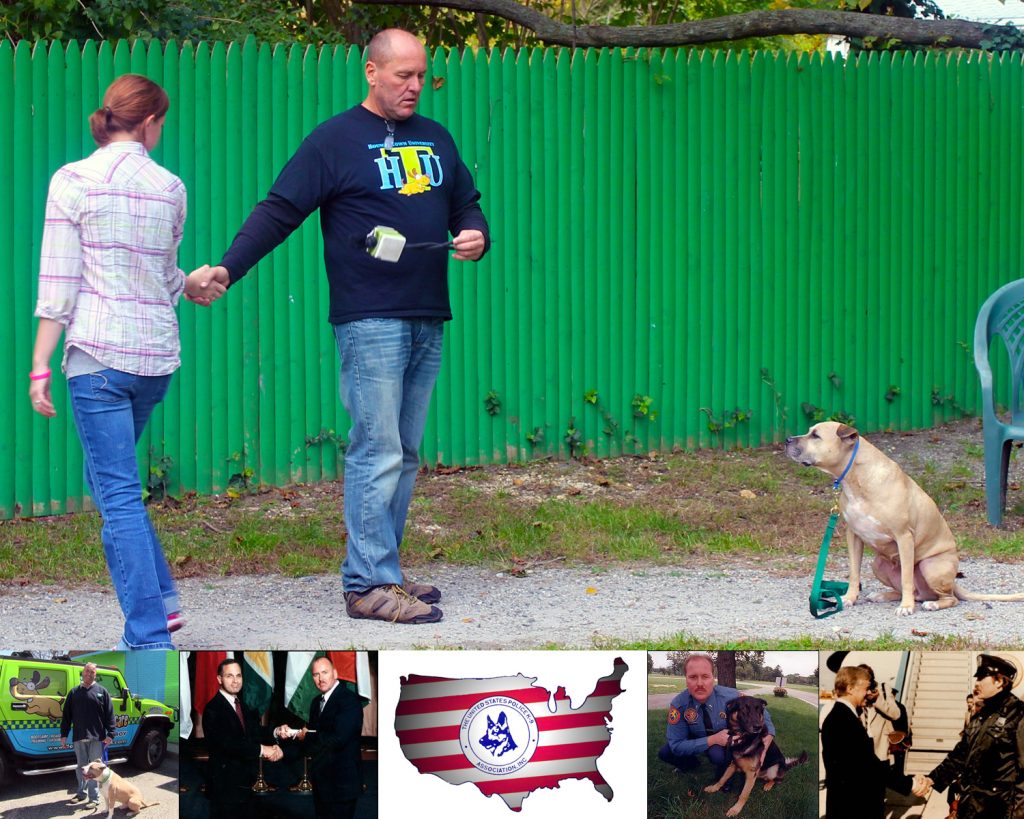mike-collage