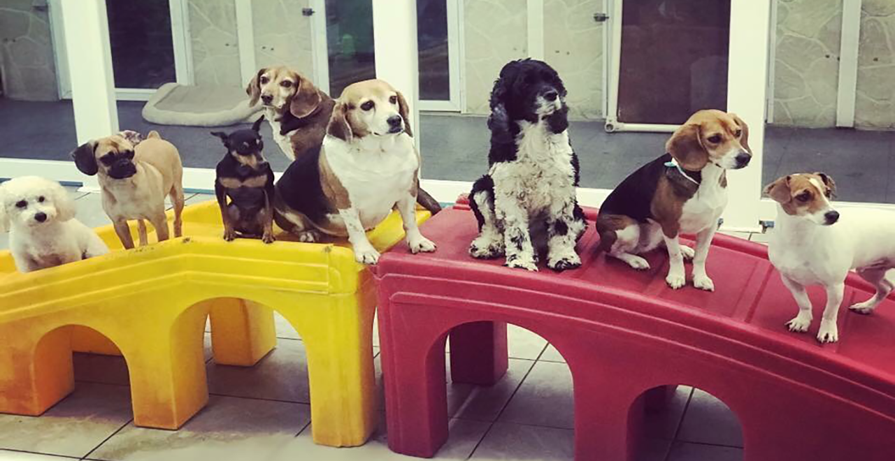 Farmingdale_Daycare