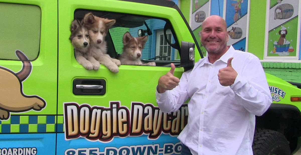 dog-taxi