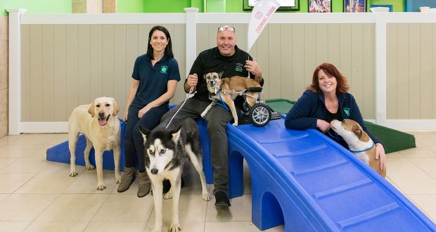 Hounds Town Ronkonkoma Long Island Business News