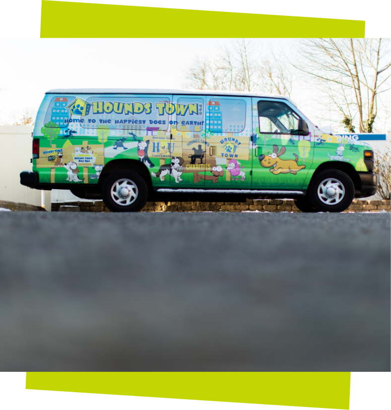 Pet Taxi 1 side of hounds town van